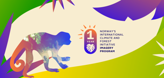 Banner celebrating 1 year of Norway's International Climate and Forest Initiative Imagery Program, featuring a colorful monkey silhouette and text: 'Providing satellite imagery of the world's tropical forests,' with logos of NICFI, KSAT, Planet, and Airbus at the bottom.