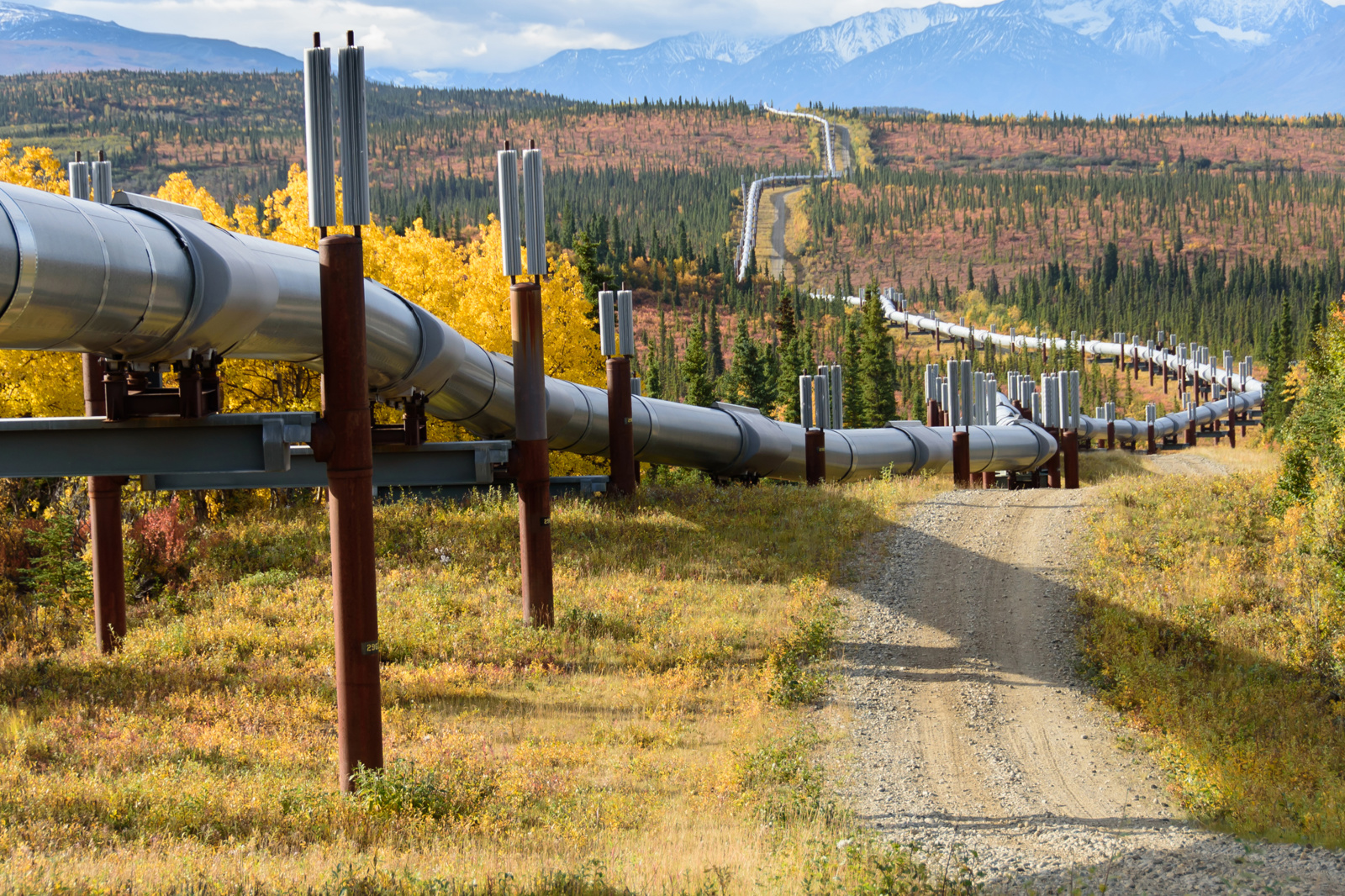 Long pipeline stretching across a scenic landscape with autumn foliage and distant mountains.